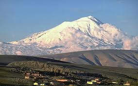 images35