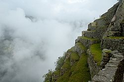 image004